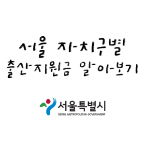 서울자치구별출산지원금